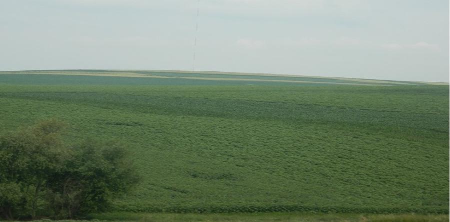 Teren extravilan 2.300 mp, SUCEAVA, UDESTI