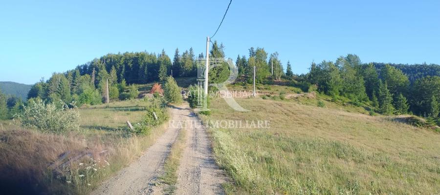 Teren Intravilan | 3.000 mp | Gârda de Sus | Alba | - 3