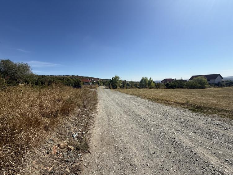 Teren Potrivit Pentru Investitie - 1703MP I Front 14,87ML - D.Rotund