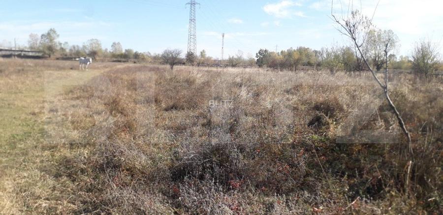 Teren 7240mp, zona Prelungirea Panduri - 6