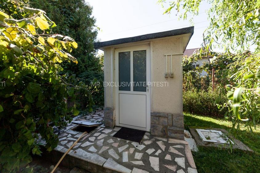Casa visurilor cu 4000 mp livada roditoare si gradina Darmanesti-Arges - 25