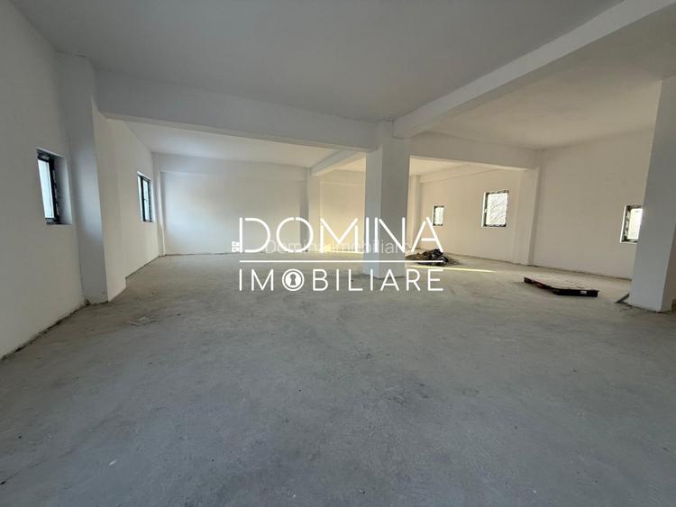 Spații pentru birouri și servicii - 319 mp/nivel - zona Coloana Infinitului - 5