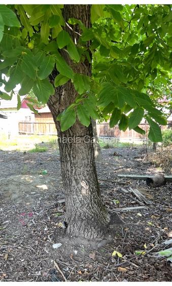 Oferim spre vânzare teren  - 5