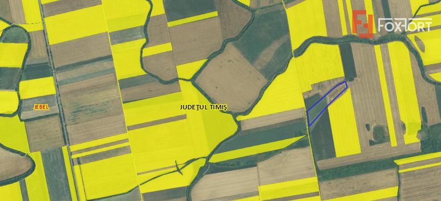 Teren agricol extravilan de vanzare, 2,69 hectare - Jebel Timis