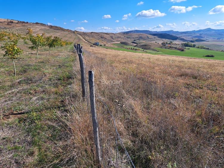 Teren agricol de vanzare  - 3