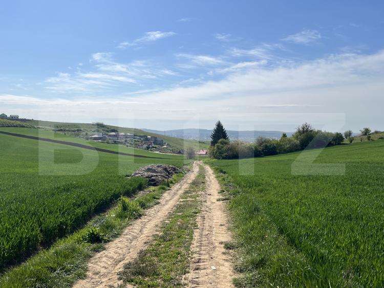 Teren generos 15.900 mp (intravilan + extravilan) în Sâncraiu de Mureș