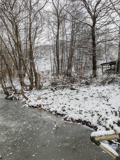 Cabana 3 camere + 1,7 ha teren , Spre Campul Cetatii - 19