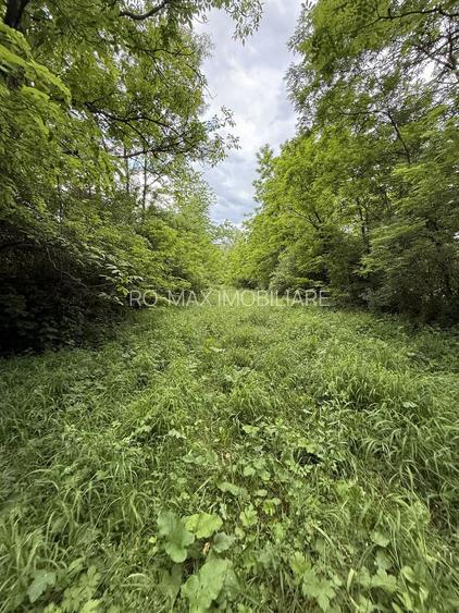 Teren plat-intravilan -3800 mp, cu pădurice și ieșire la râu! - 23