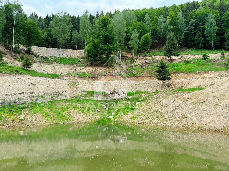 Oportunitate! Domeniu montan, cu lac propriu, oras Lupeni, Hunedoara - 27