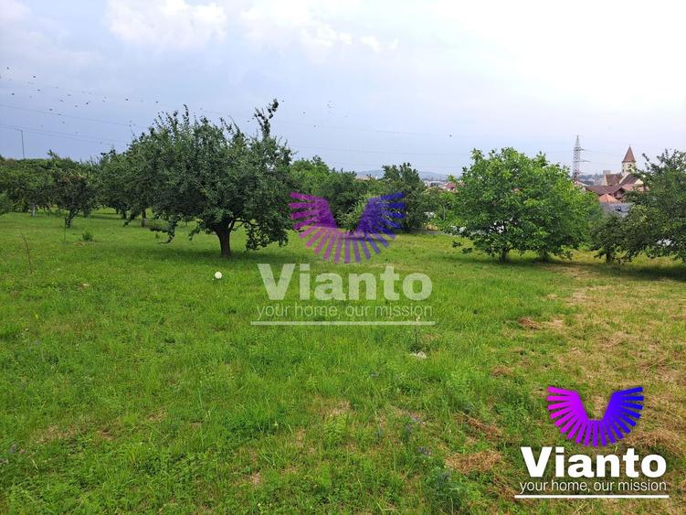 Teren intravilat| Zona rezidentila 1156 mp-TURNISOR