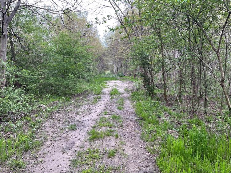 Teren 755 mp, Dem Radulescu, la 7 min de centrul orasului Rm Valcea - 8