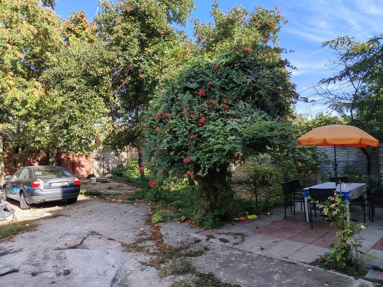 Apartament cu curte proprie Central - Ciuperca