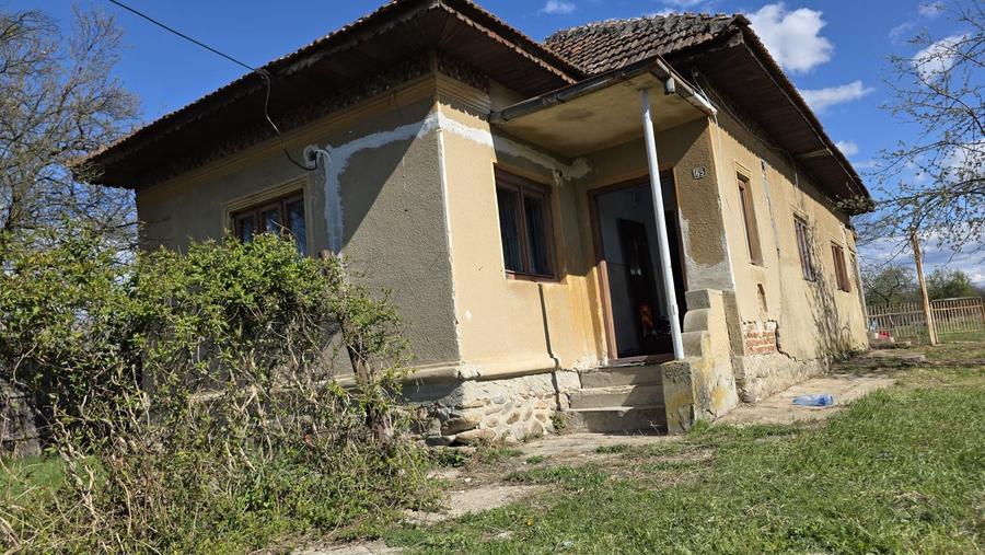 Casa de vanzare
