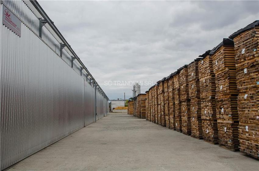 Hala industriala de 2700mp cu 3,1 ha teren intravilan in Miercurea Sibiului - 34