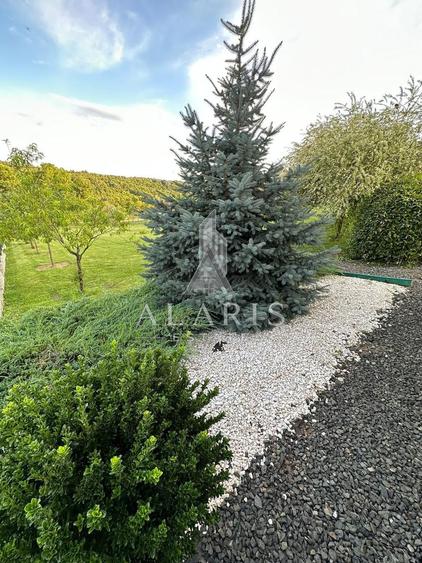 Domeniu privat, cu padure, cabana si teren de tenis, in Nadas