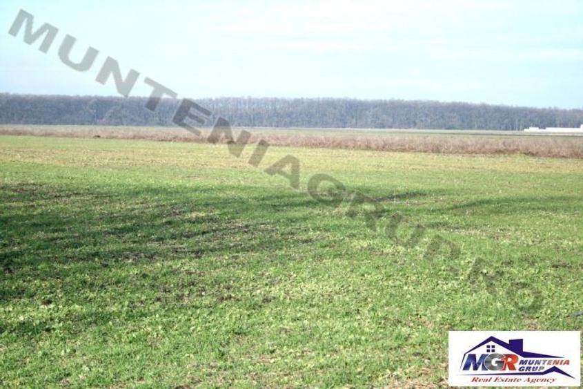 Afumati - Tarla 9, teren agricol in suprafata de 9.200 mp.