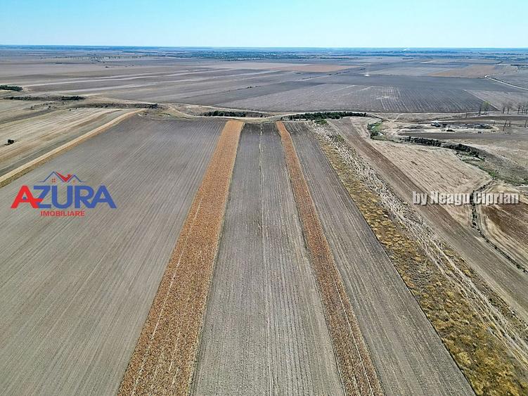 Teren agricol, 5HA, comasat, drum acces, Cateasca