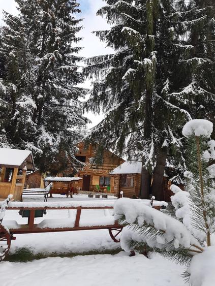 De Vanzare Cabana in Poiana Negrii cu Clasificare la Ministerul Turismului