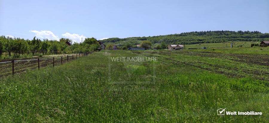 Teren intravilan –Vâlcele, zonă foarte bună spre Cluj-Napoca - 2