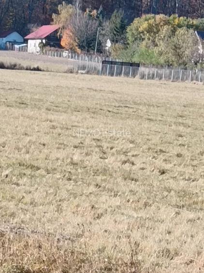 Teren langa Padure Dragomirna 40 Ari ISuceava/Dragomirna I 60.000Euro - 2