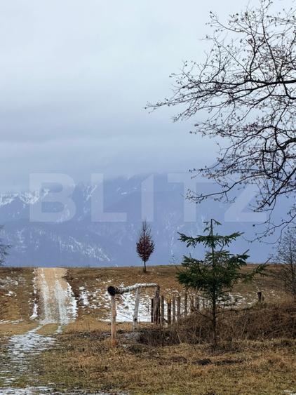 Teren în suprafață de 80.000 mp, situat în Glăjerie – Râșnov EXTRAVILAN