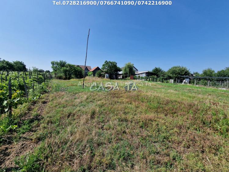 Casa 3 Camere + Teren si Anexe, Tirculesti- Danesti - 13