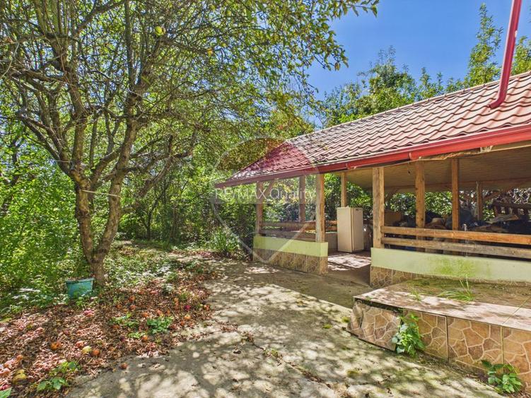 Casă P+1 cu teren, livadă și vie – Pucioasa| Acces facil Sinaia - 23