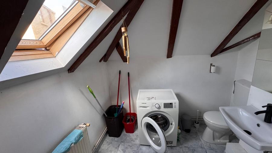 Ultracentral, intim, trafic redus, gradina generoasa, proprietar