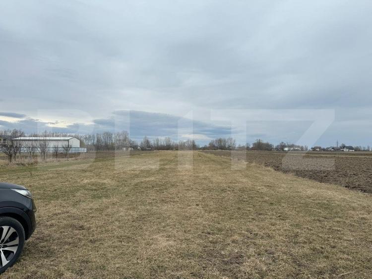 Teren intravilan, 5200MP, centura Radauti