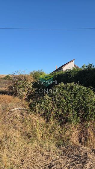 Teren 3100mp Simnicu de Sus | Romanesti |