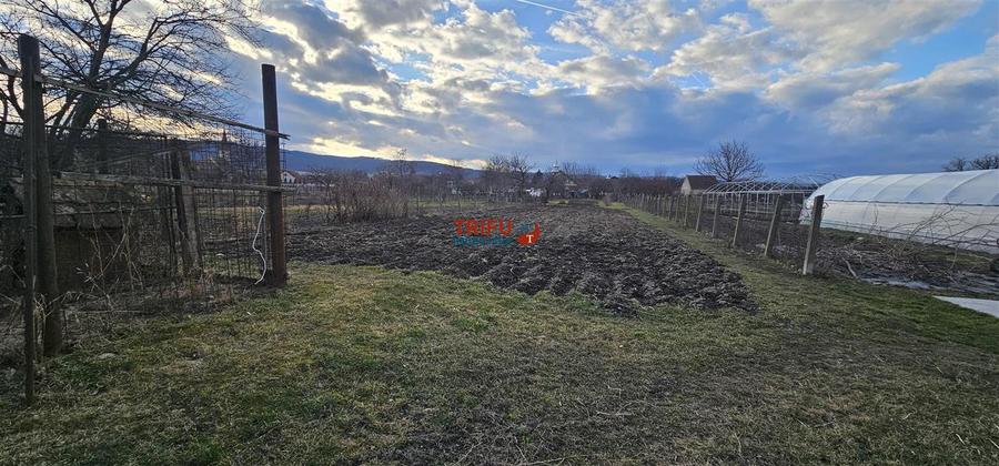 Casa de vanzare cu functiuni multiple in Petresti