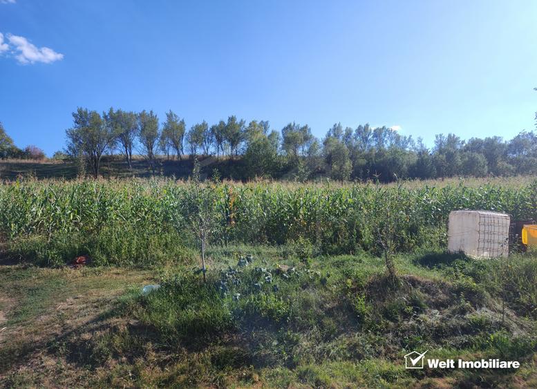 Teren intravilan 2976 mp, TAGA sat NASUL, zona lacuri