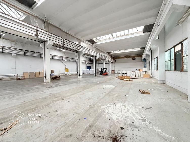 Hala industriala cu pod rulant, Sanicolau Mic, suprafata 1.187 mp
