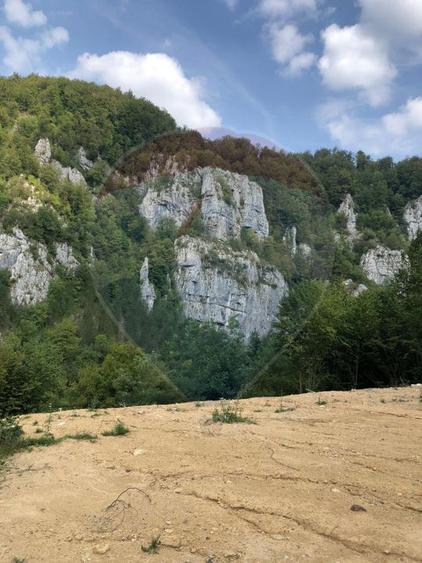 Teren intravilan 1,127mp Remeti / Strada Principala