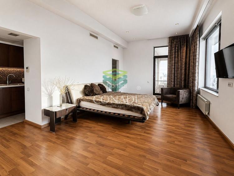Baneasa-Iancu Nicolae, penthouse de inchiriat, mobilat si utilat - 7