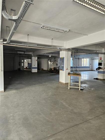 Exclusivitate - Proprietate Industriala De Inchiriat - Productie - Depozitare