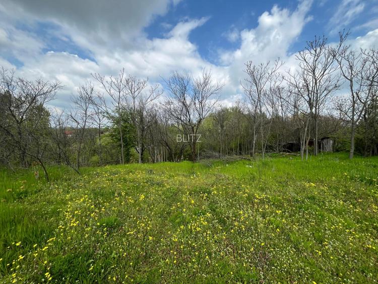 Teren 2117 mp în Malu Mare, cadru natural cu pârâu - 8