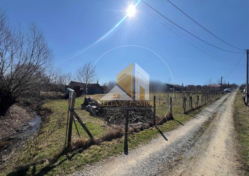 Teren intarvilan de vanzare - Valea Rusului.