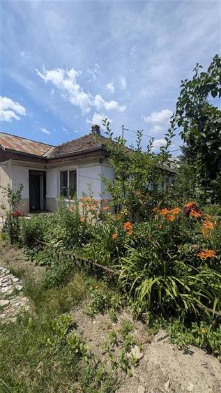Casa 3 camere Cantemir - Podu rosu