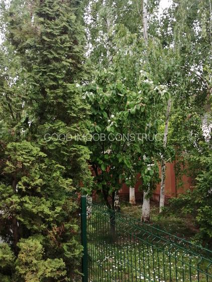 Vila cochetă Pipera, teren 650 mp - 22