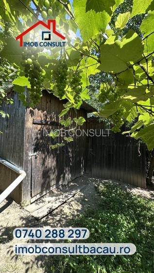 Casă de vânzare cu teren de 1.000 mp | Grigoreni, comuna Șorteni | CE1803 - 6