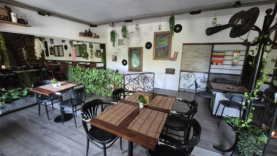 Restaurant, Delfinului, parc Ostrov