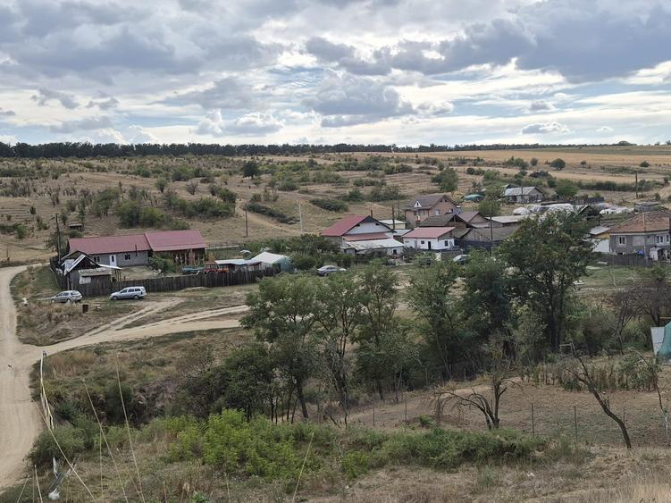 Teren în suprafață de 5ha, Comuna Bucovăț-Palilula