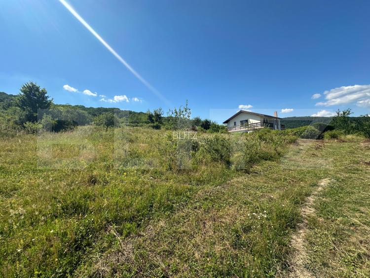 Teren 15 Ari – Viitor Intravilan (PUG 2026), zona Izvorul Sarat Viisoara - 3