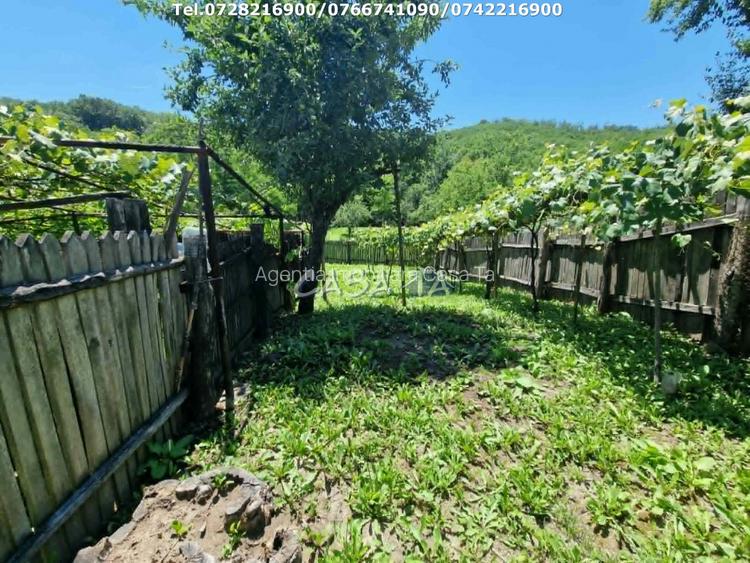 Casa situata in orasul Targu-Carbunesti , Sat Ștefanesti - 15