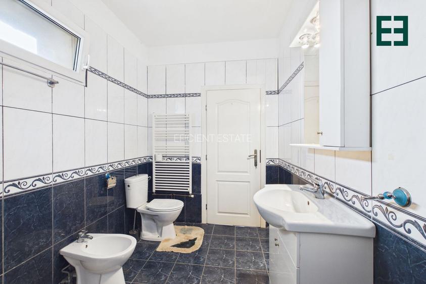 Teren de 8.632 mp + Proprietate Industrială - Voiteg - Județul Timiș - 13
