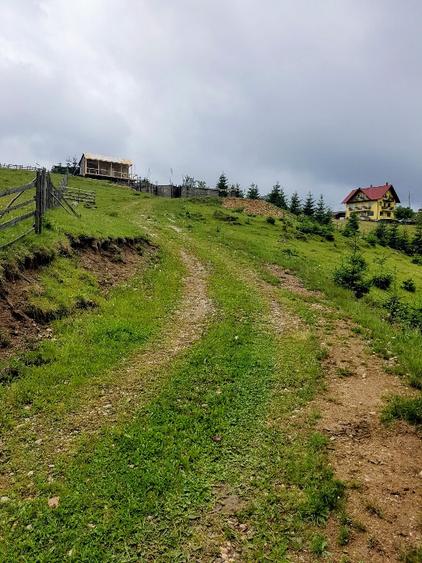 Cabană montană cu panoramă Bucegi & Piatra Craiului – Fundata
