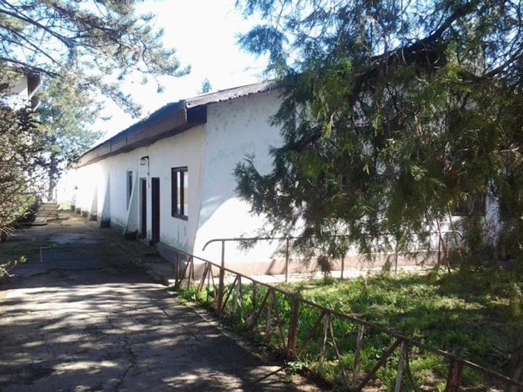 Teren intravilan Mogosesti | Giurgiu | 370.000mp | Adunatii Copaceni