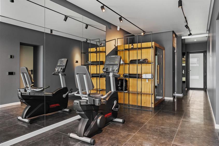 Vilă individuală premium cu wellness, Iancu Nicolae