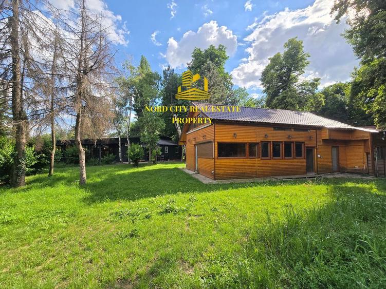 Spatiu comercial Parcul Herastrau-Restaurant Cafeanea-Vanzare-Asociere